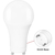 750 Lumens - 9 Watt - 5000 Kelvin - GU24 Base - LED A19 Light Bulb Thumbnail