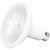 1100 Lumens - 13 Watt - 5000 Kelvin - LED PAR38 Lamp Thumbnail