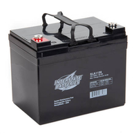 12 Volt - 35 Ah - AGM Battery - Insert Terminal - Sealed AGM - Interstate Batteries SLA1156