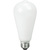 Natural Light - 450 Lumens - 5 Watt - 2700 Kelvin - LED Edison Bulb - 5.4 in. x 2.5 in.  Thumbnail