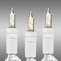 100L 2.5 SPACE CLEAR BULB