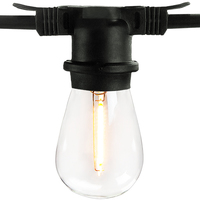 15 Light Blk Wire 120V Patio
