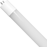 LED 2FT T8 8W 5000K TYPE A