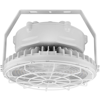 20,307 Lumens - Round Explosion-Proof Fixture - LED - Class I Div 2 Rated - 150 Watt - 400 Watt Metal Halide Equal - 5000 Kelvin - 120-277 Volt -  PLTS-11958