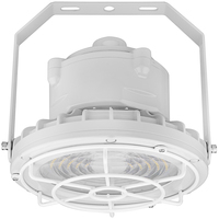 60W ROUND HAZARD FIXT GREY