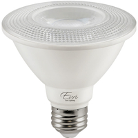 LED PAR30 11W 2700K