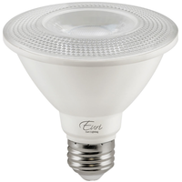 LED PAR30 11W 5000K