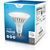 1700 Lumens - 20 Watt - 5000 Kelvin - LED PAR38 Lamp Thumbnail
