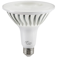 LED PAR38 20W 2700K