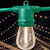 100 ft. Patio String Lights - Green Wire - 48 Sockets Thumbnail
