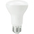 Natural Light - 525 Lumens - 5.5 Watt - 5000 Kelvin - LED BR20 Lamp  Thumbnail