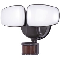 LED SECURITY LIGHT