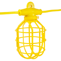 100 ft String Light 10 Lamp