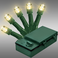 35L LED 5MM WARM WHT BATT OP