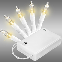 20L LED T5 WARM WHT BATT OP