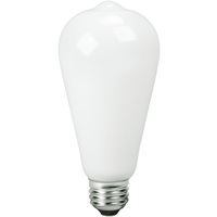 Natural Light - 450 Lumens - 5 Watt - 2400 Kelvin - AmberGlow LED Edison Bulb - 5.4 in. x 2.5 in. - 40 Watt Equal - Dimmable - 92 CRI - 120 Volt - TCP FST19D4024E26SFR92