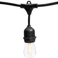 24 Light Blk Wire 120V Patio