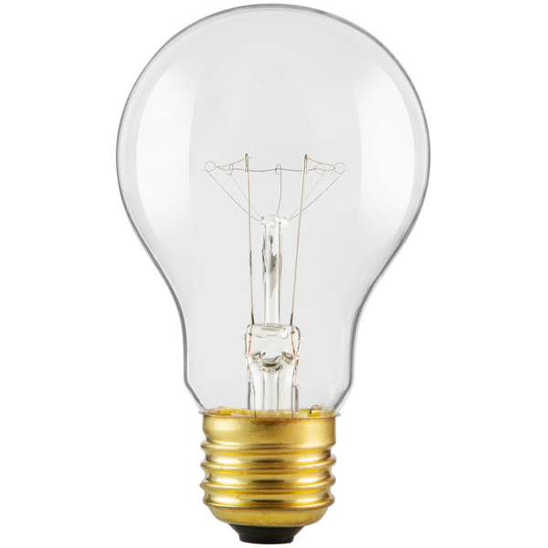 60 Watt - Incandescent A19 Bulb - Shatter Resistant - Clear