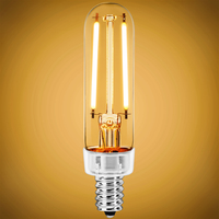 300 Lumens - 4 Watt - 2700 Kelvin - LED T6 Tubular Bulb - 25 Watt Equal - Incandescent Match - 120 Volt - PLT Solutions - PLT-11847B