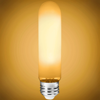 450 Lumens - 4 Watt - 2700 Kelvin - LED T10 Tubular Bulb - 40 Watt Equal - Incandescent Match - 120 Volt - PLT-11945
