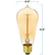 60 Watt - Edison Bulb - Incandescent Vintage Light Bulb - 350 Lumens - 5.5 in. x 2.5 in.  Thumbnail