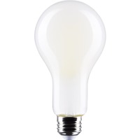 LED A23 21W E26 5000K
