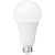 Natural Light - 1600 Lumens - 17 Watt - 5000 Kelvin - LED A21 Light Bulb Thumbnail