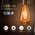 800 Lumens - 7 Watt - 2700 Kelvin - LED Edison Bulb - 5.51 in. x 2.51 in.  Thumbnail