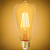 800 Lumens - 7 Watt - 2700 Kelvin - LED Edison Bulb - 5.52 in. x 2.52 in. Thumbnail