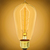 40 Watt - Edison Bulb - Incandescent Vintage Light Bulb - 115 Lumens - 4.8 in. x 2.3 in.  Thumbnail