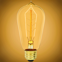 40 Watt - Edison Bulb - Incandescent Vintage Light Bulb - 115 Lumens - Medium Base - Amber Tinted - 120 Volt  - PLT Solutions - PLT 401890