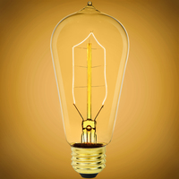 40 Watt - Edison Bulb - Incandescent Vintage Light Bulb - 183 Lumens - Medium Base - Amber Tint - 120 Volts - PLT-40006