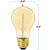 40 Watt - Victorian Bulb - 4.2 in. Length Thumbnail