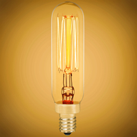 25 Watt - Vintage Antique Light Bulb - T6 Tubular Style - 3.3 in. Height - Candelabra Base - Squirrel Cage Filament - Tinted