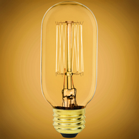 40 Watt - 160 Lumens - Incandescent Radio Style Vintage Light Bulb - Medium Bulb - Clear - 120 Volt - PLT-S2417