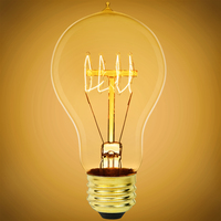 25 Watt - Victorian Bulb - 4.5 in. Length - Vintage Light Bulb - Amber Tinted - A19 - ALB25WQUADCL