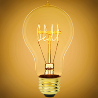 60 Watt - Victorian Bulb - 4.5 in. Length - Vintage Light Bulb - Amber Tint - A19 - Bulbrite - 136020