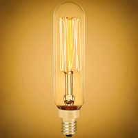 25 Watt - Vintage Antique Light Bulb - T6 Tubular Style - 3.5 in. Height - Candelabra Base - Squirrel Cage Filament - Tinted