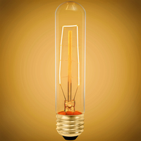 20 Watt - Vintage Antique Light Bulb - T10 Tubular Style - 5.5 in. Height - Medium Base - Hairpin Filament - Tinted
