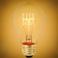 25 Watt - Victorian Bulb - 4.5 in. Length - Vintage Light Bulb - Clear  - A19 - Antique Light Bulb Co. - S2411