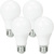 750 Lumens - 9 Watt - 3000 Kelvin - LED A19 Light Bulb Thumbnail