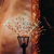 16 in. Twinkly Spritzer - 200 RGB Lights Thumbnail