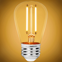 180 Lumens - 2 Watt - 2700 Kelvin - LED S14 Bulb - 25 Watt Equal - Incandescent Match - Clear - 120 Volt - PLT-11848