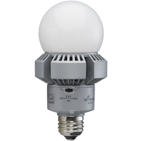 LED 25W CCT SLCT HID RETROFIT