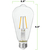 250 Lumens - 2.5 Watt - 3000 Kelvin - LED Edison Bulb - 5.5 in. x 2.5 in. Thumbnail