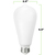 250 Lumens - 2.5 Watt - 2200 Kelvin - LED Edison Bulb - 5.5 in. x 2.5 in. Thumbnail