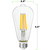 1000 Lumens - 9 Watt - 2700 Kelvin - LED Edison Bulb - 5.5 in. x 2.5 in. Thumbnail