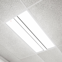 LED 2X4 PANEL/TROFFER EMER