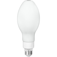 3000 Lumens - 22 Watt - 5000 Kelvin - LED HID Retrofit Bulb - 100 Watt Metal Halide Equal - Medium Base - 120-277 Volt - PLTS-12380