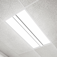 LED 2X4 PANEL/TROFFER 2PK